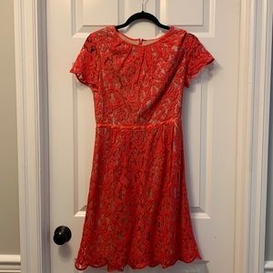 Adriana papell Red lace dress size 6